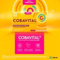 Cobavital 1 Mg + 4 Mg Com 16 Comprimidos
