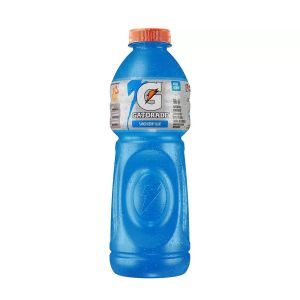 Isotônico Gatorade Sabor Berry Blue Com 500ml