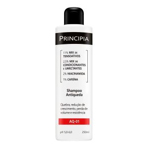 Shampoo Antiqueda Aq-01 Com 250ml Principia