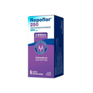 Repoflor 250 250mg 6 Cápsulas Duras Legrand