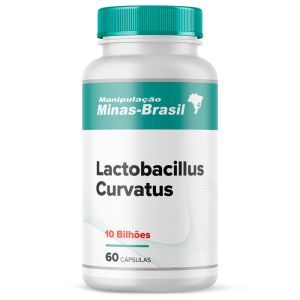Lactobacillus Curvatus 10blh 60 Cápsulas