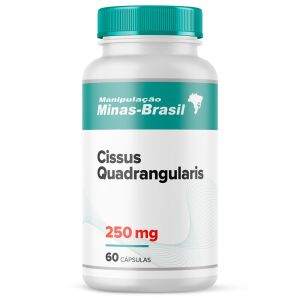 Cissus Quadrangularis 250Mg  60 Cápsulas