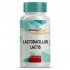 Lactobacillus Lactis Probiótico 60 Cápsulas