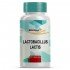 Lactobacillus Lactis Probiótico - 30 Cápsulas