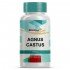 Agnus Cactus 100 Mg - 60 Cápsulas