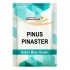 Pirulito de Pinus Pinaster 50Mg Com 20 Unidades Sabor Blue Ocean