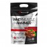 Whey Mucle Hammer Chocolate 1,8K Body Action