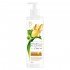 Shampoo Poder das Plantas Purificação com Gengibre 300ml Dove