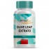 Olive Leaf Extrato  200 mg - 60 Cápsulas