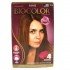 Coloração Biocolor Kit Creme 7.3 Louro Médio Dourado