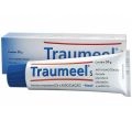 Traumeel Pomada 50G