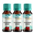 Kit Óleo De Girassol Ozonizado 30ml - 3 Unidades