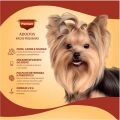 Ração Quatree Gourmet Sabor Peixe, Carne e Frango Para Cães Adultos Raças Pequenas 3Kg