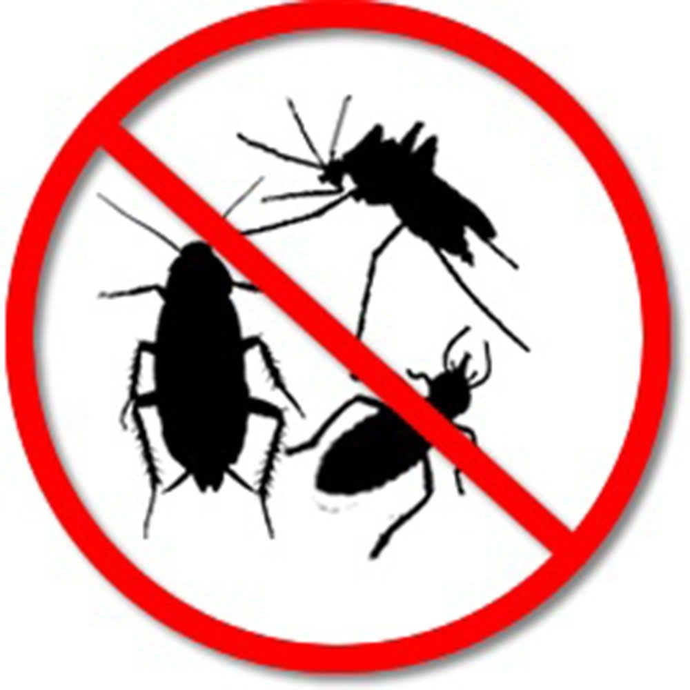 Raid Multi Insetos Com óleo de Citronela 420 Ml