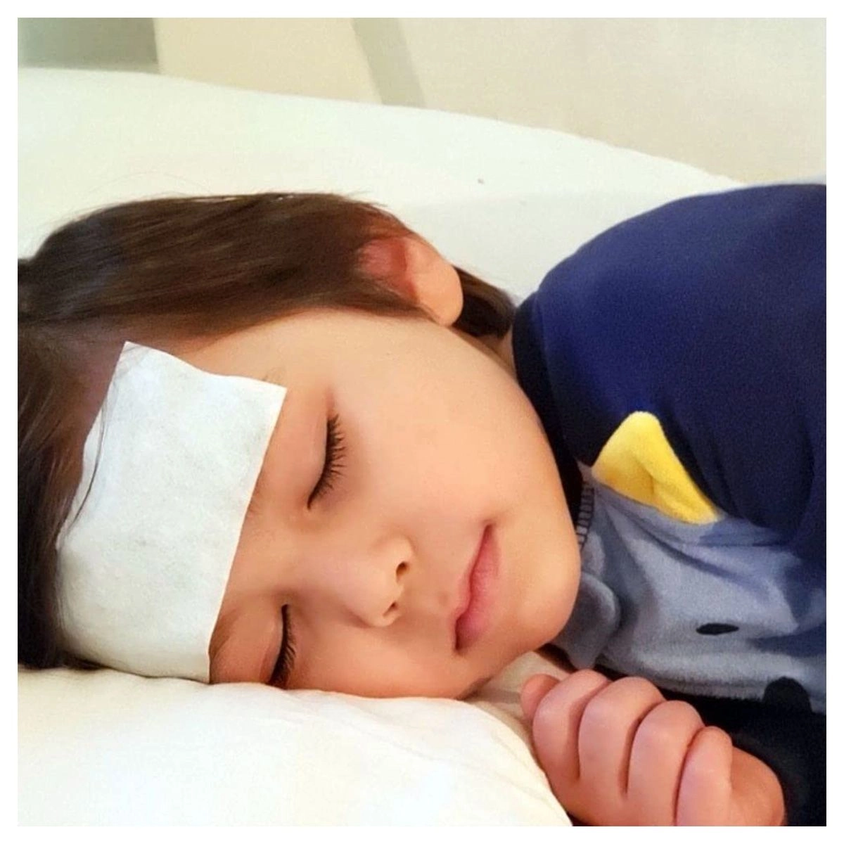 Xô Febre Compressas Refrescantes Para Alivio Da Febre Likluc