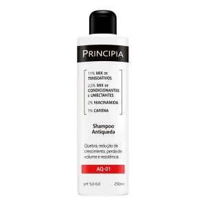 Shampoo Antiqueda Aq-01 Principia 250ml